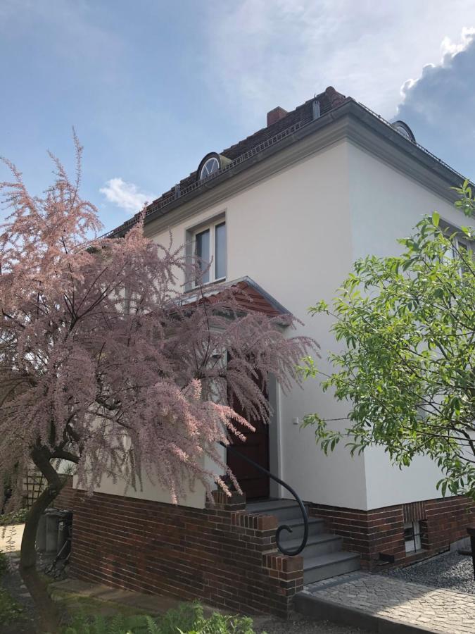 드레스덴 Haus Welzel 빌라 외부 사진